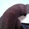 This was me Sending my Wife A pic of my dick while she was at Work.