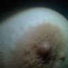 close up of my nip